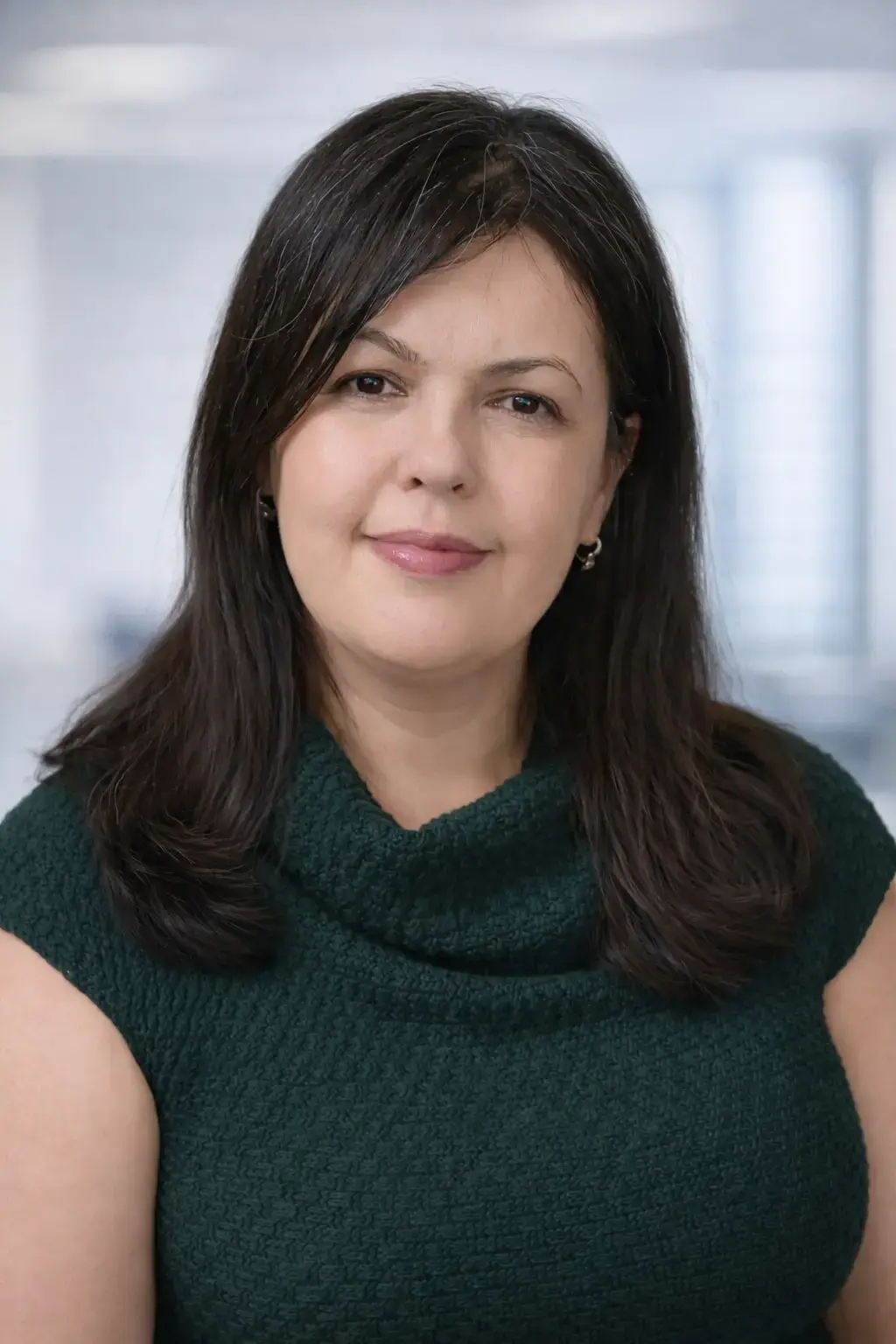 Soilica Nicoleta_Agent Vanzari Agent Vânzări